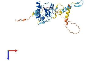 AlphaFold protein structure predicition of Mouse Recombinant Grxcr1 Protein, UniprotID Q50H32