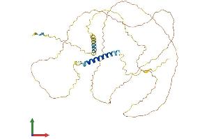 Protein Structure (PS) image for Syndecan 3 (SDC3) (AA 1-442) protein (His tag) (ABIN7545912)
