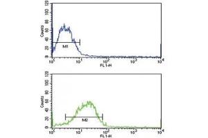Flow Cytometry (FACS) image for anti-SMAD Family Member 4 (SMAD4) (AA 400-428) antibody (ABIN3032608)