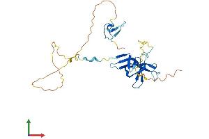 AlphaFold protein structure predicition of Mouse Recombinant Gatad1 Protein, UniprotID Q920S3