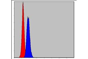 Flow cytometric analysis of MCF-7 cells using PHB monoclonal antobody, clone 5H7  (blue) and negative control (red). (Prohibitin antibody)