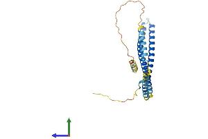 AlphaFold protein structure predicition of Mouse Recombinant Chmp4c Protein, UniprotID Q9D7F7
