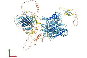 AlphaFold protein structure predicition of Human Recombinant SLC4A4 Protein, UniprotID Q9Y6R1