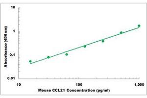 Representative Standard Curve (CCL21 ELISA Kit)