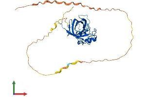 AlphaFold protein structure predicition of Human Recombinant GID4 Protein, UniprotID Q8IVV7