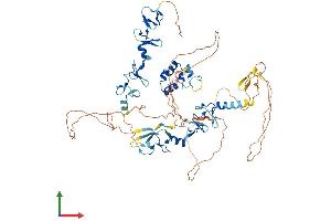 AlphaFold protein structure predicition of Human Recombinant ABLIM3 Protein, UniprotID O94929