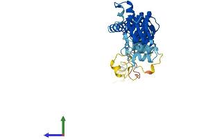 AlphaFold protein structure predicition of Human Recombinant ASB12 Protein, UniprotID Q8WXK4 (ASB12 Protein (AA 1-309) (His tag))
