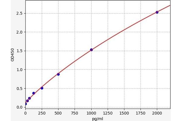 ZFP36 ELISA Kit