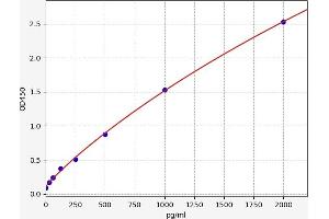 Typical standard curve (ZFP36 ELISA Kit)