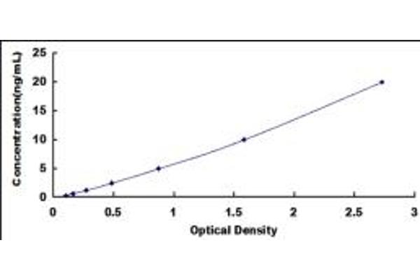 PDIA2 ELISA Kit