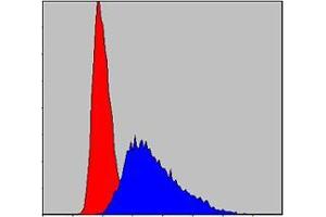 Flow cytometric analysis of Jurkat cells using ITK mouse mAb (blue) and negative control (red). (ITK antibody)