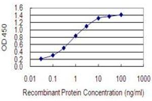 Detection limit for recombinant GST tagged TNFRSF1A is 0. (TNFRSF1A antibody  (AA 40-149))