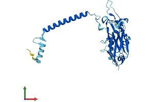 AlphaFold protein structure predicition of Mouse Recombinant Atp1b2 Protein, UniprotID P14231 (ATP1B2 Protein (AA 1-290) (His tag))