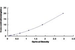 Typical standard curve (PTPN11 ELISA Kit)