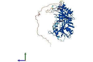 Protein Structure (PS) image for tRNA Methyltransferase 2 Homolog B (TRMT2B) (AA 1-504) protein (His tag) (ABIN7544628)