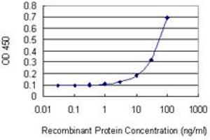 Detection limit for recombinant GST tagged UBE2O is 3 ng/ml as a capture antibody. (UBE2O antibody  (AA 361-470))
