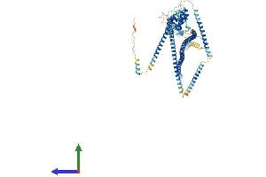 AlphaFold protein structure predicition of Human Recombinant HOOK2 Protein, UniprotID Q96ED9