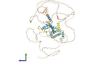 Protein Structure (PS) image for A Kinase (PRKA) Anchor Protein 8 (AKAP8) (AA 1-687) protein (His tag) (ABIN7565007)