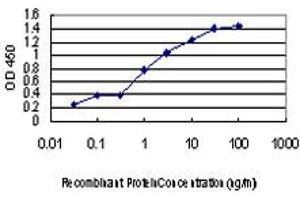 Detection limit for recombinant GST tagged CDC2L5 is approximately 0. (CDK13 antibody  (AA 1-90))