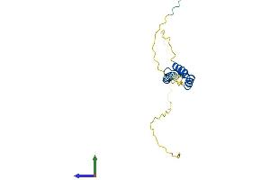 AlphaFold protein structure predicition of Human Recombinant ERICH2 Protein, UniprotID A1L162