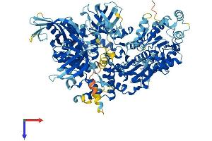 AlphaFold protein structure predicition of Human Recombinant DNA2 Protein, UniprotID P51530 (DNA2 Protein (AA 1-1060) (His tag))