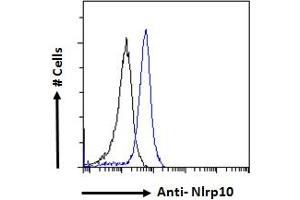 NLRP10 antibody  (N-Term)