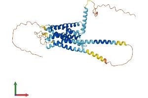 AlphaFold protein structure predicition of Human Recombinant GPR22 Protein, UniprotID Q99680 (GPR22 Protein (AA 1-433) (His tag))