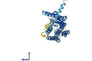 AlphaFold protein structure predicition of Human Recombinant OR2T8 Protein, UniprotID A6NH00