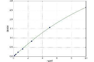 Azurocidin 1 (AZU1) ELISA Kit
