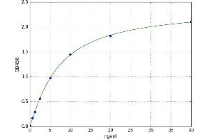 Heat Shock 70kDa Protein 5 (Glucose-Regulated Protein, 78kDa) (HSPA5) ELISA Kit