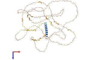 AlphaFold protein structure predicition of Human Recombinant CXorf49, Protein, UniprotID A8MYA2
