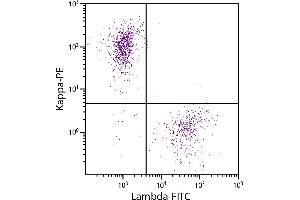 CD19+ human B-lymphocytes were stained with Goat Anti-Human Kappa-PE and Goat F(ab’)2 Anti-Human Lambda, Mouse ads-FITC. (Goat anti-Human Immunoglobulin kappa Chain Complex (Igk) Antibody (PE))