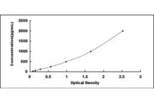 CER1 ELISA Kit