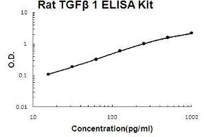 Rat TGF beta 1 PicoKine ELISA Kit standard curve (TGFB1 ELISA Kit)