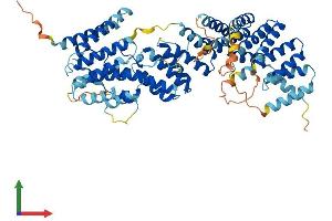 AlphaFold protein structure predicition of Human Recombinant FANCG Protein, UniprotID O15287