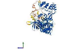 AlphaFold protein structure predicition of Human Recombinant KRIT1 Protein, UniprotID O00522