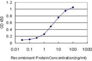 Detection limit for recombinant GST tagged SEPT3 is approximately 0. (Septin 3 antibody  (AA 236-345))