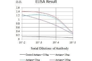 Black line: Control Antigen (100 ng),Purple line: Antigen (10 ng), Blue line: Antigen (50 ng), Red line:Antigen (100 ng) (FCRL2 antibody  (AA 20-253))