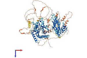 AlphaFold protein structure predicition of Mouse Recombinant Pitpnm3 Protein, UniprotID Q3UHE1 (NIR1 Protein (AA 1-974) (His tag))