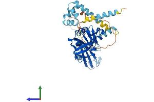 AlphaFold protein structure predicition of Mouse Recombinant Ddi2 Protein, UniprotID A2ADY9