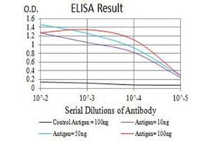Black line: Control Antigen (100 ng),Purple line: Antigen (10 ng), Blue line: Antigen (50 ng), Red line:Antigen (100 ng) (NMDAR2A antibody  (AA 23-165))