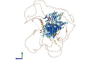 AlphaFold protein structure predicition of Human Recombinant PPIP5K1 Protein, UniprotID Q6PFW1 (HISPPD2A Protein (AA 1-1433) (His tag))
