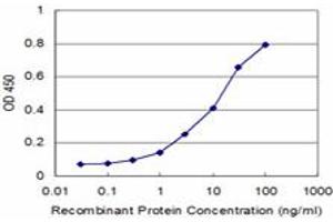 Detection limit for recombinant GST tagged MPHOSPH6 is approximately 1ng/ml as a capture antibody. (MPHOSPH6 antibody  (AA 1-160))