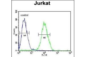 RPS3A Antibody (C-term) (ABIN651720 and ABIN2840374) flow cytometric analysis of Jurkat cells (right histogram) compared to a negative control cell (left histogram). (RPS3A antibody  (C-Term))