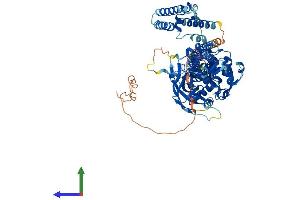 AlphaFold protein structure predicition of Human Recombinant STAT5B Protein, UniprotID P51692