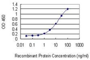 Detection limit for recombinant GST tagged NPTX1 is 0. (NPX1 antibody  (AA 141-240))