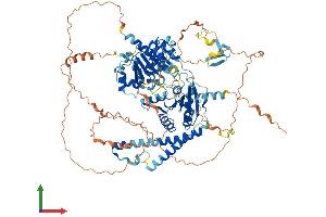 Protein Structure (PS) image for DEAD (Asp-Glu-Ala-Asp) Box Polypeptide 24 (DDX24) (AA 1-857) protein (His tag) (ABIN7561485)
