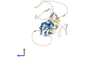 AlphaFold protein structure predicition of Mouse Recombinant Bap1 Protein, UniprotID Q99PU7