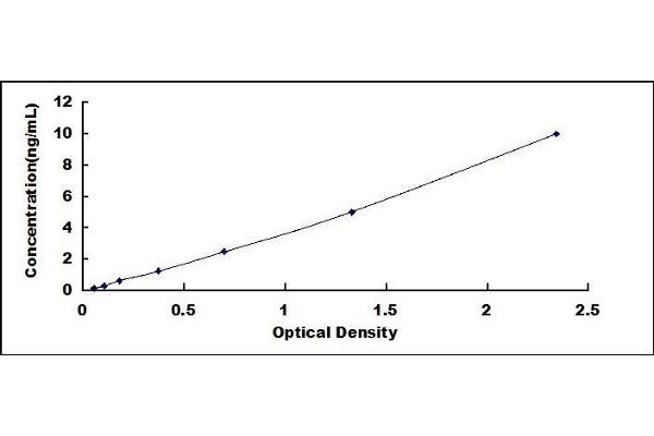 TIMM8A/DDP ELISA Kit