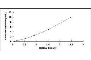 ELISA image for Oxidized Low Density Lipoprotein (Lectin-Like) Receptor 1 (OLR1) ELISA Kit (ABIN414847)